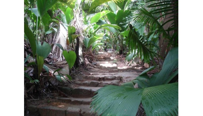 Castello Beach Hotel poza 9